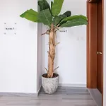 Comfort - 3 Min Walk To & Town - Iii Apartament