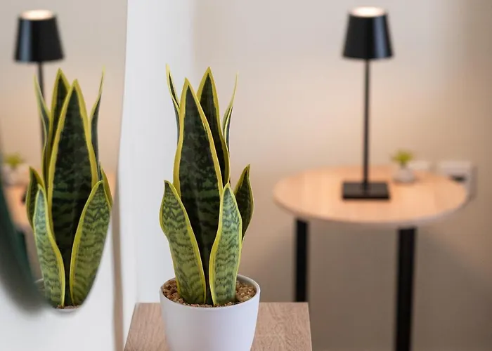 Comfort Stay - 3 Min Walk To Beach & Town - III * Kos Town